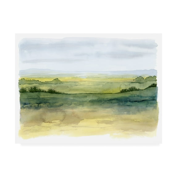 Trademark Fine Art 'Golden Strata I' Canvas Art by Grace Popp