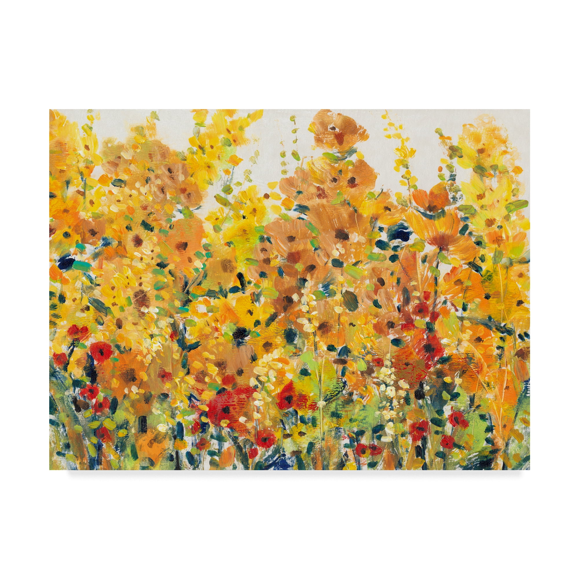 Trademark Fine Art 'Golden Summer Garden I' Canvas Art by Tim OToole