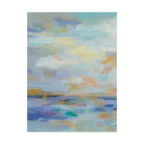 Trademark Fine Art 'Golden Sunrise II' Canvas Art by Silvia Vassileva