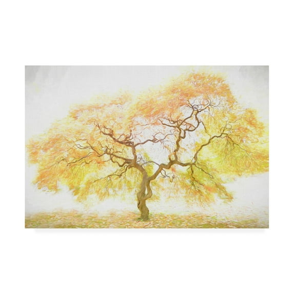 Trademark Fine Art 'Golden Tree Yellow' Canvas Art by PHBurchett