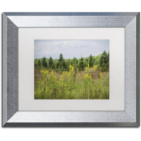 Trademark Fine Art "Goldenrod Fence" Canvas Art by Kurt Shaffer, White Matte, Silver Frame