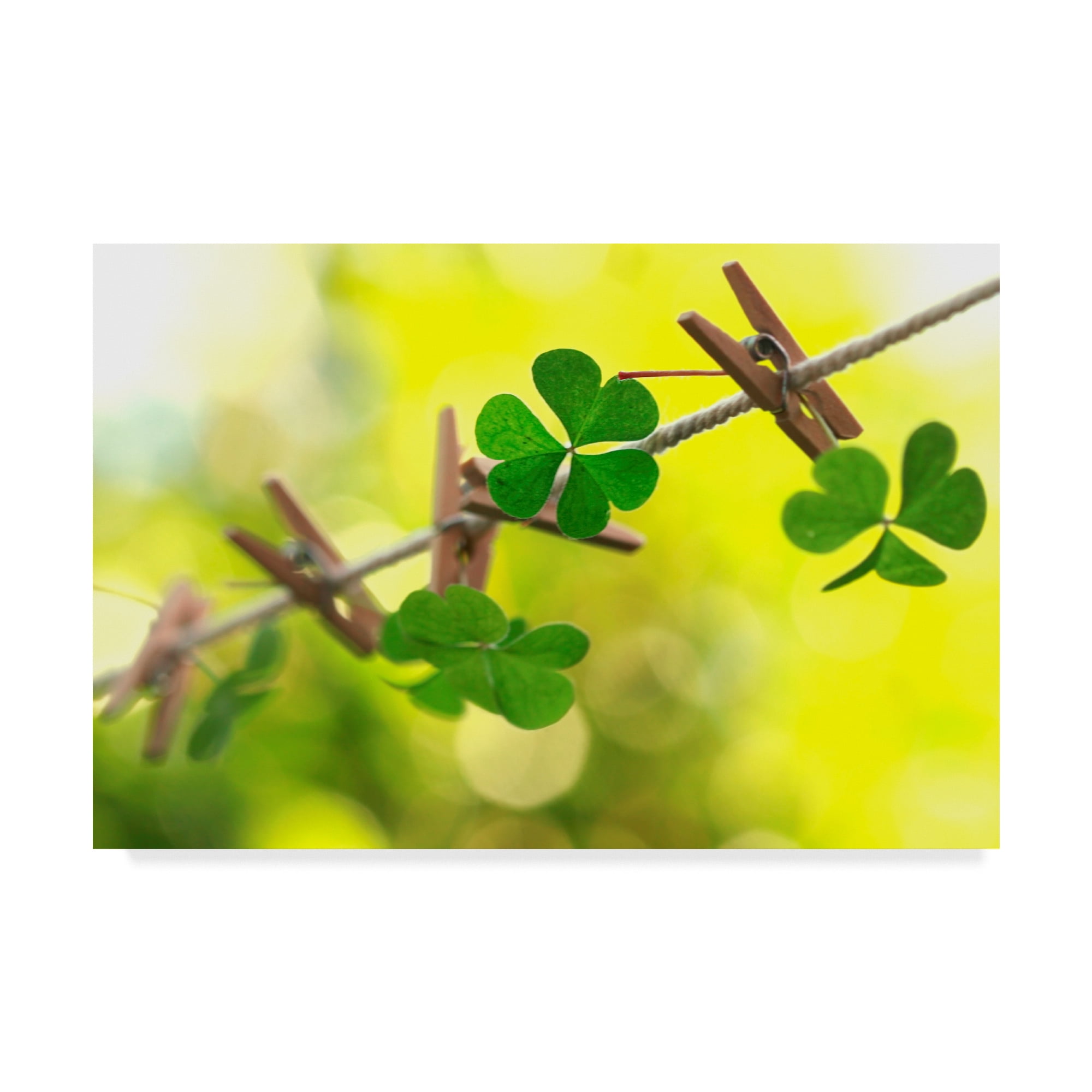 Trademark Fine Art 'Good Luck For The Future' Canvas Art by Incredi