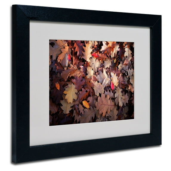 Trademark Fine Art "Goofy Leaves" Canvas Art by Philippe Sainte-Laudy, Black Frame