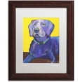 thumbnail image 1 of Trademark Fine Art "Goose" Canvas Art by Pat Saunders-White, White Matte, Wood Frame, 1 of 4