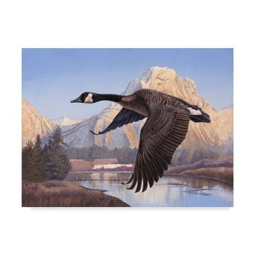 Trademark Fine Art 'Goose Mountain' Canvas Art by Rusty Frentner