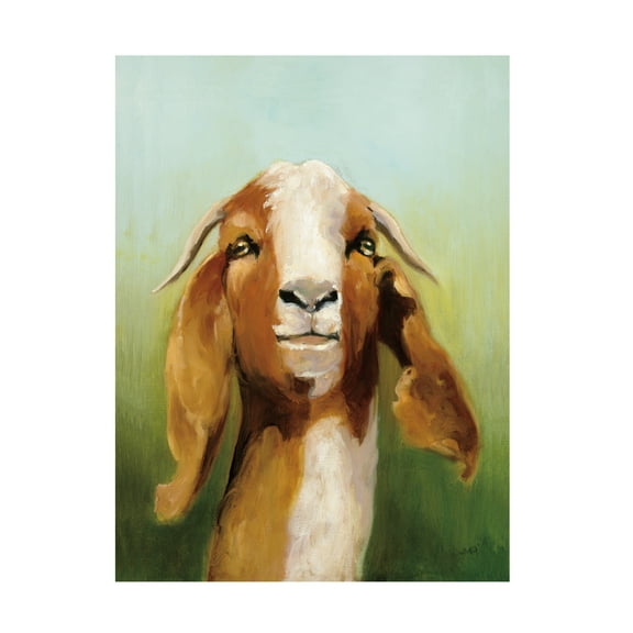 Trademark Fine Art 'Got Your Goat ' Canvas Art by Julia Purinton