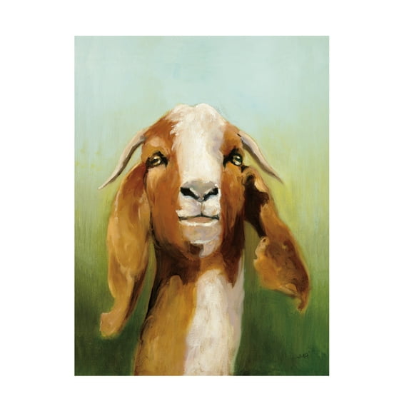 Trademark Fine Art 'Got Your Goat ' Canvas Art by Julia Purinton
