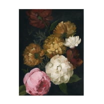 Trademark Fine Art Grace Popp Bouquet Eclipse II Canvas Wall Art