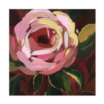 Trademark Fine Art Grace Popp Brushy Rose I Canvas Wall Art