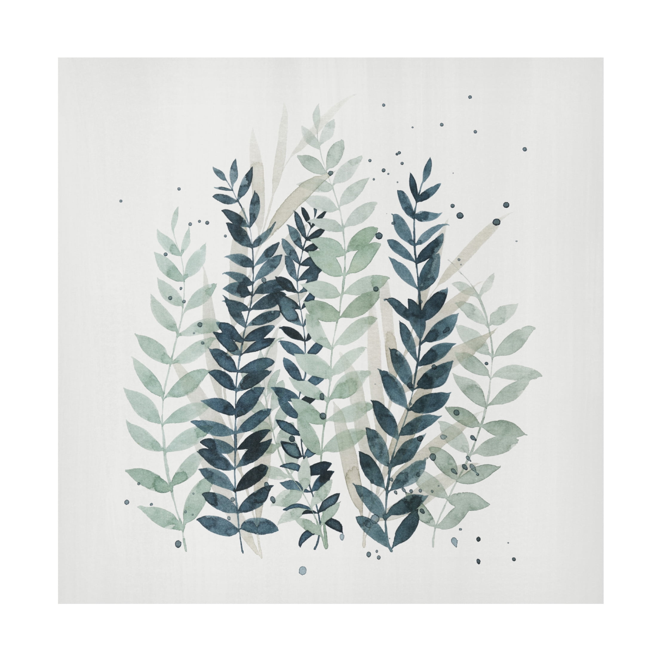 Trademark Fine Art Grace Popp  Darling Wisp I Canvas Wall Art