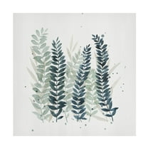 Trademark Fine Art Grace Popp Darling Wisp II Canvas Wall Art