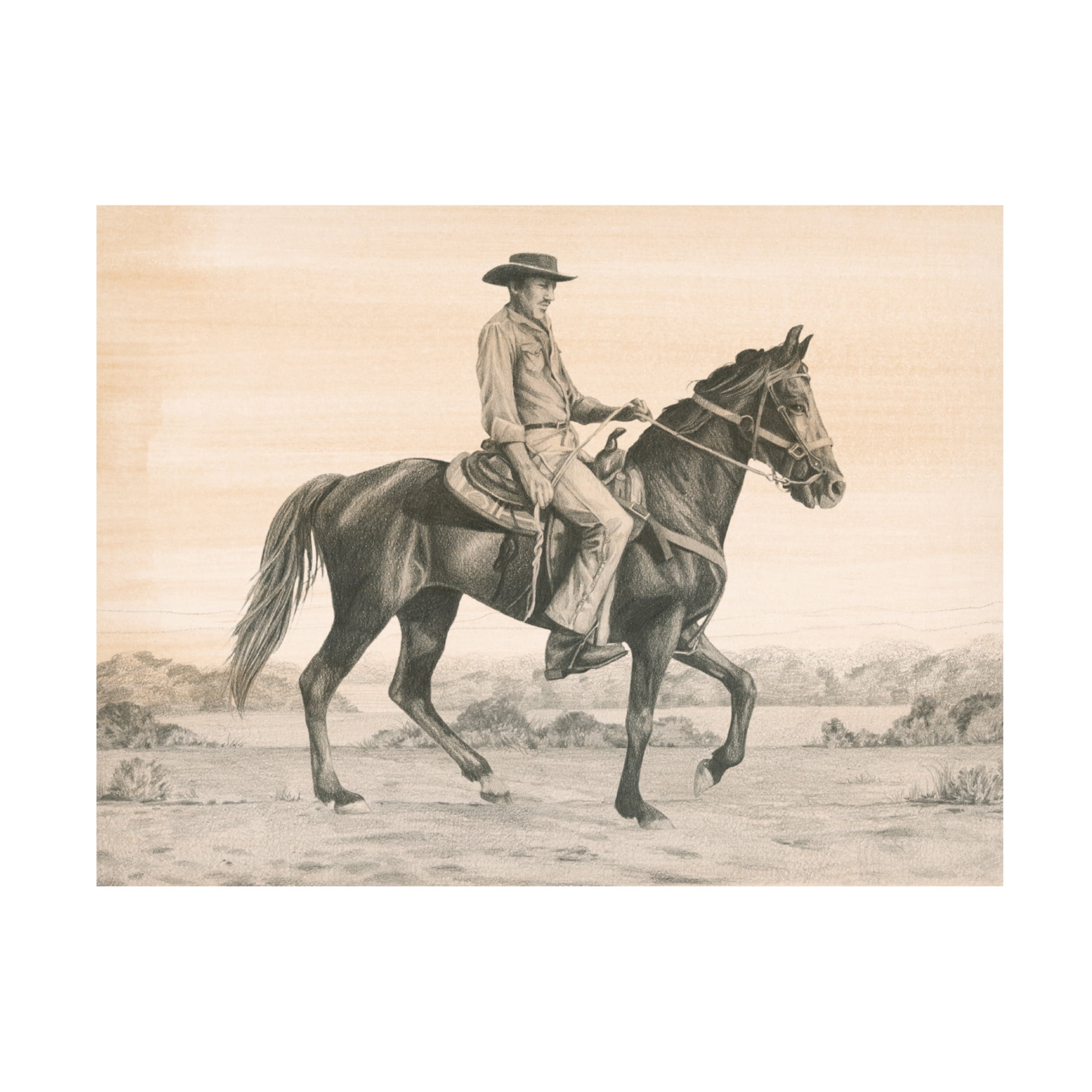 Trademark Fine Art Grace Popp  Desert Ranger I Canvas Wall Art