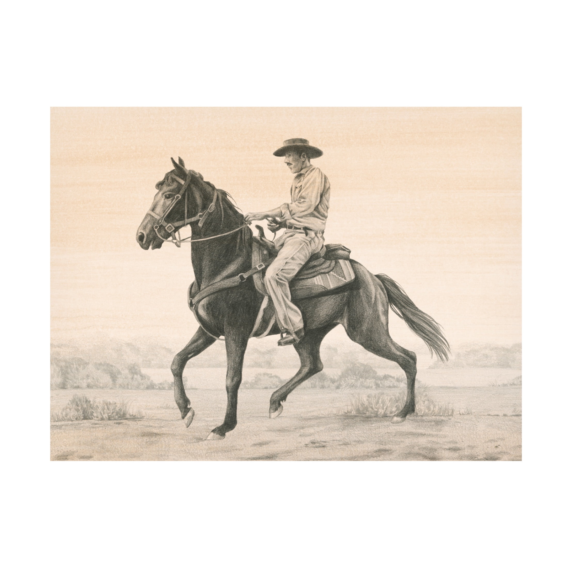 Trademark Fine Art Grace Popp  Desert Ranger II Canvas Wall Art