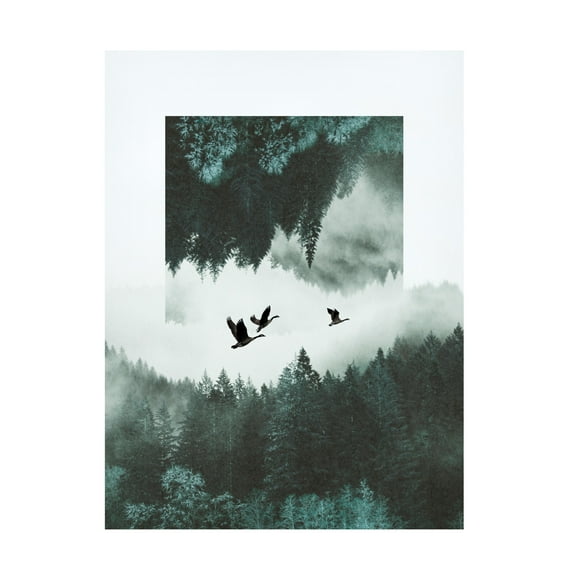 Trademark Fine Art Grace Popp  Misty Skein II Canvas Wall Art