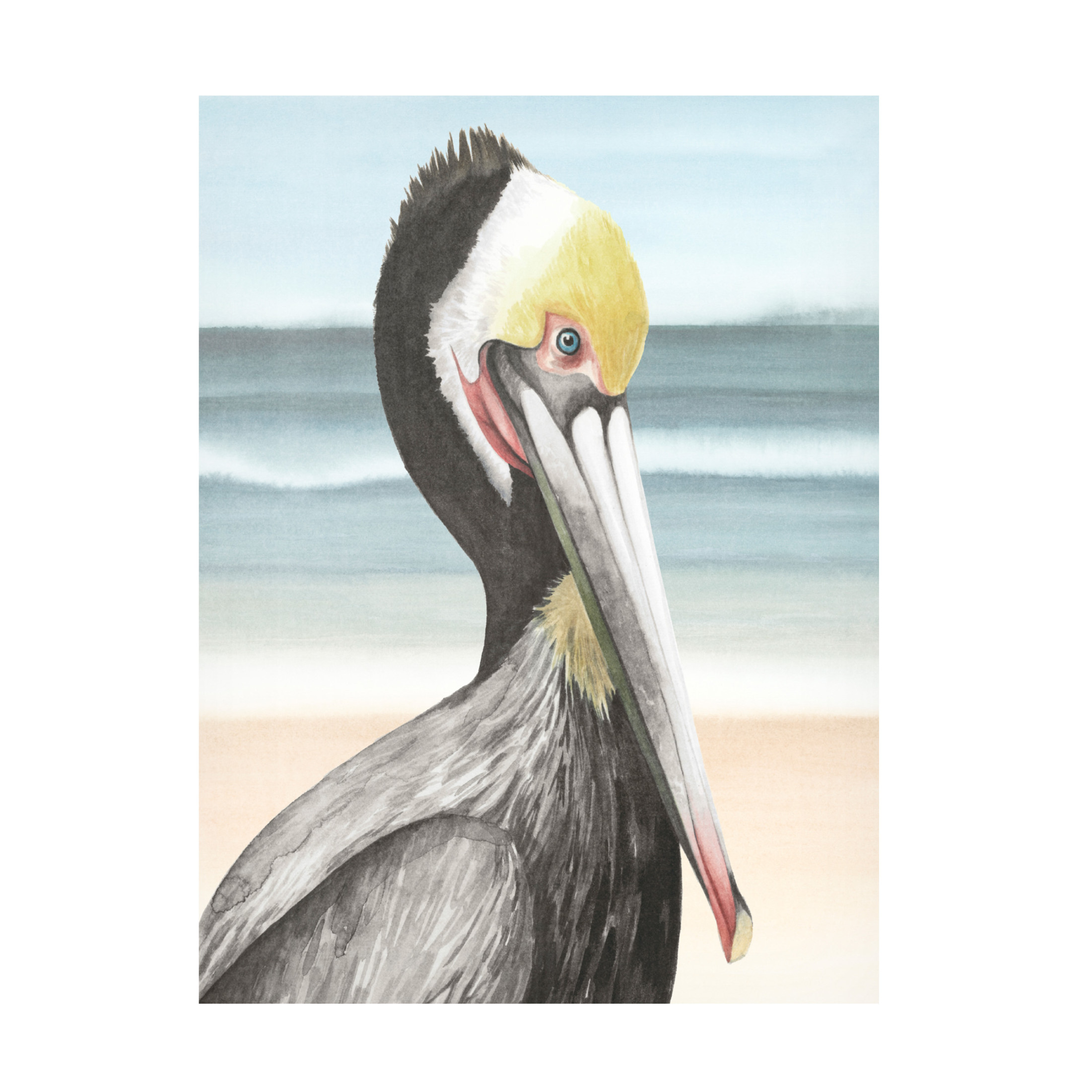 Trademark Fine Art Grace Popp  Pelican Beach I Canvas Wall Art
