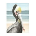 thumbnail image 1 of Trademark Fine Art Grace Popp  Pelican Beach I Canvas Wall Art, 1 of 4