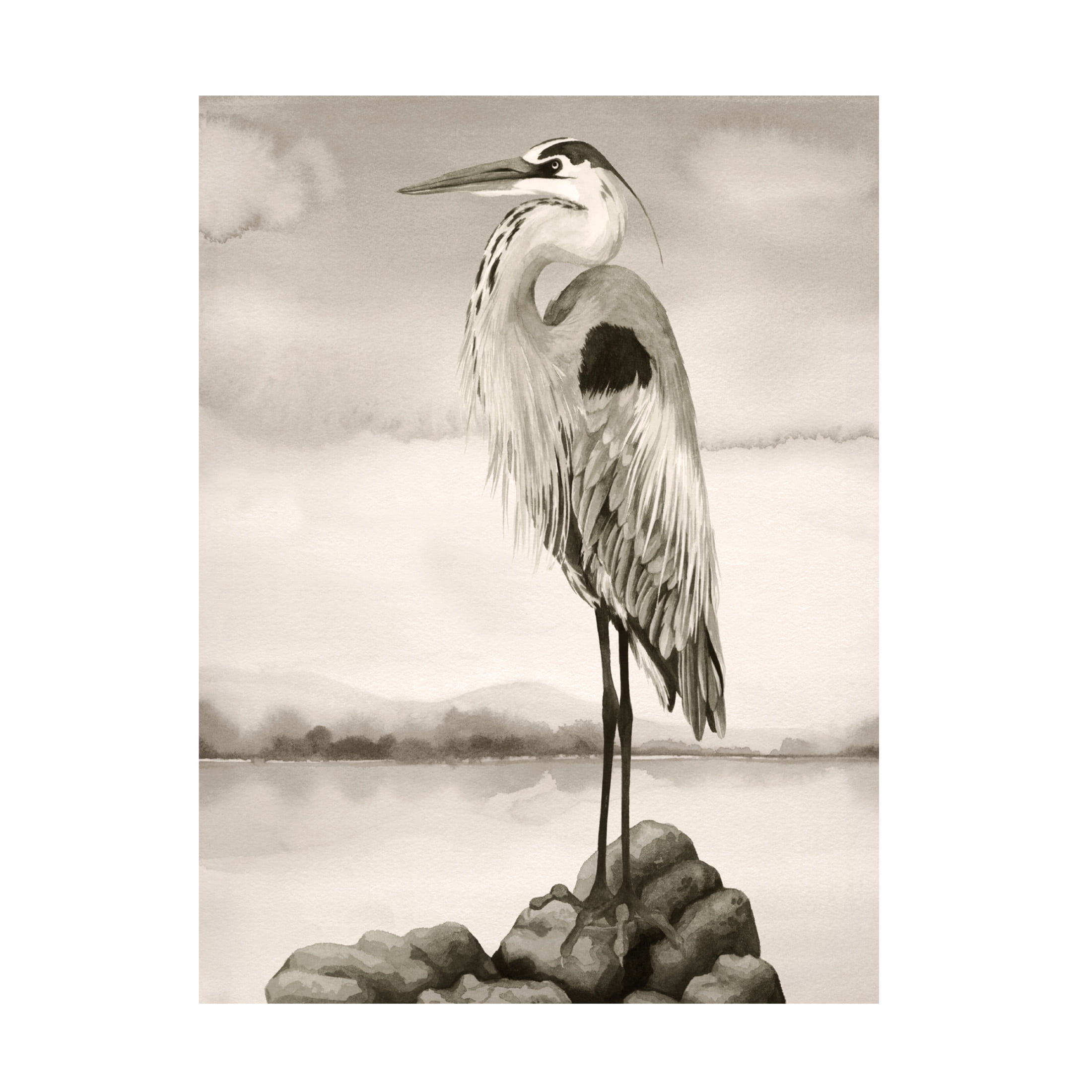 Trademark Fine Art Grace Popp Sepia Watcher I Canvas Wall Art