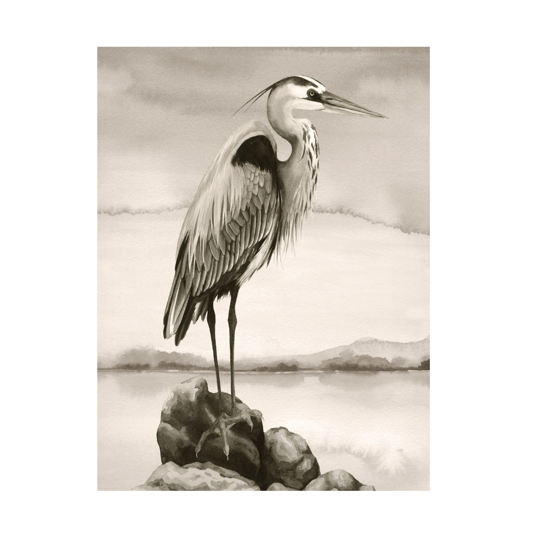 Trademark Fine Art Grace Popp  Sepia Watcher II Canvas Wall Art