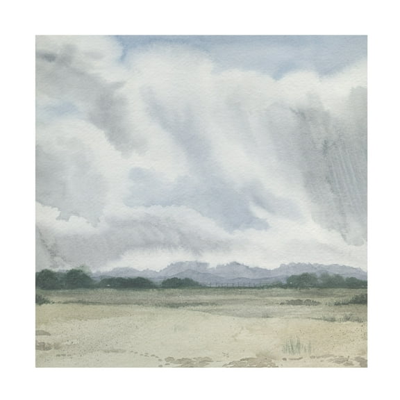 Trademark Fine Art Grace Popp  Shadows of a Storm I Canvas Wall Art