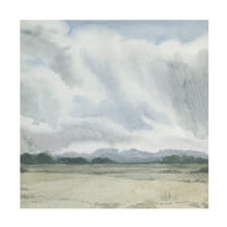 Trademark Fine Art Grace Popp Shadows of a Storm I Canvas Wall Art