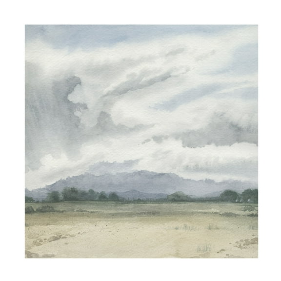 Trademark Fine Art Grace Popp Shadows of a Storm II Canvas Wall Art