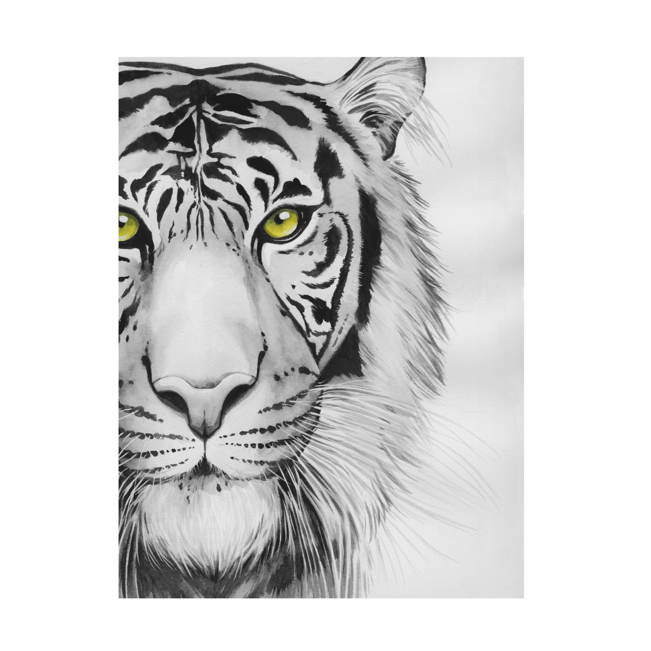 Trademark Fine Art Grace Popp  Snow Tigre I Canvas Wall Art
