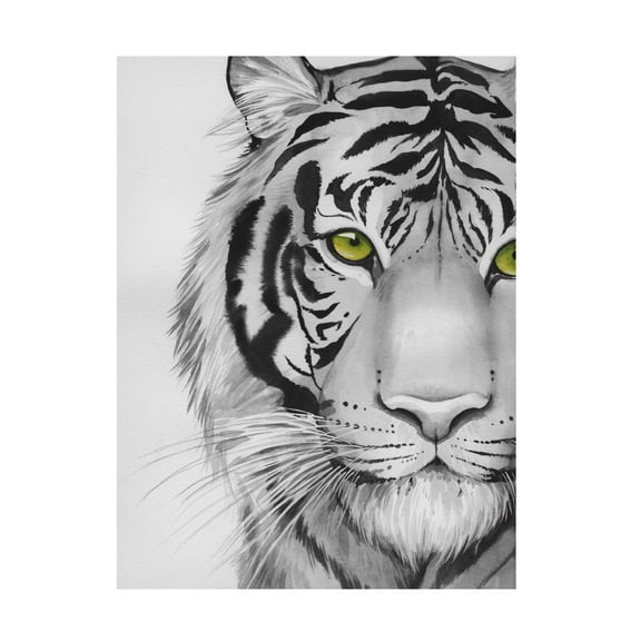 Trademark Fine Art Grace Popp Snow Tigre II Canvas Wall Art