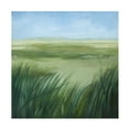 thumbnail image 1 of Trademark Fine Art Grace Popp Tall Grass Plains I Canvas Wall Art, 1 of 4