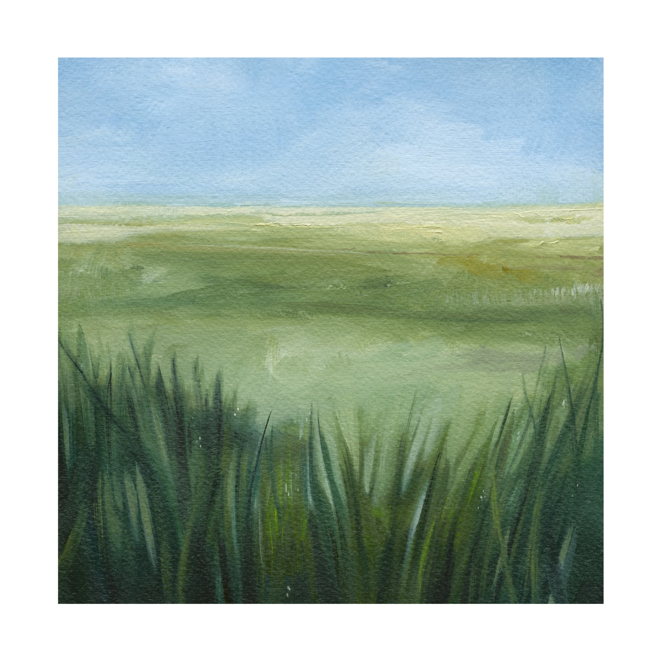 Trademark Fine Art Grace Popp  Tall Grass Plains II Canvas Wall Art