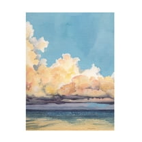 Trademark Fine Art Grace Popp Twilight Sandbar II Canvas Wall Art