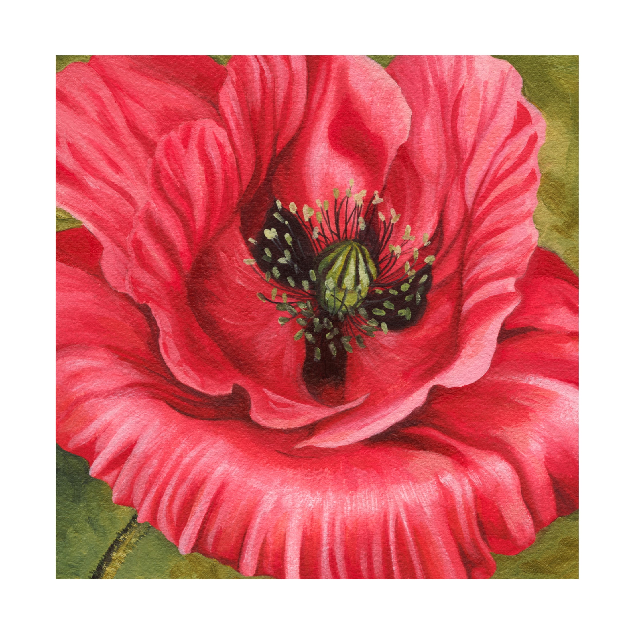 Trademark Fine Art Grace Popp Vivid Poppy I Canvas Wall Art