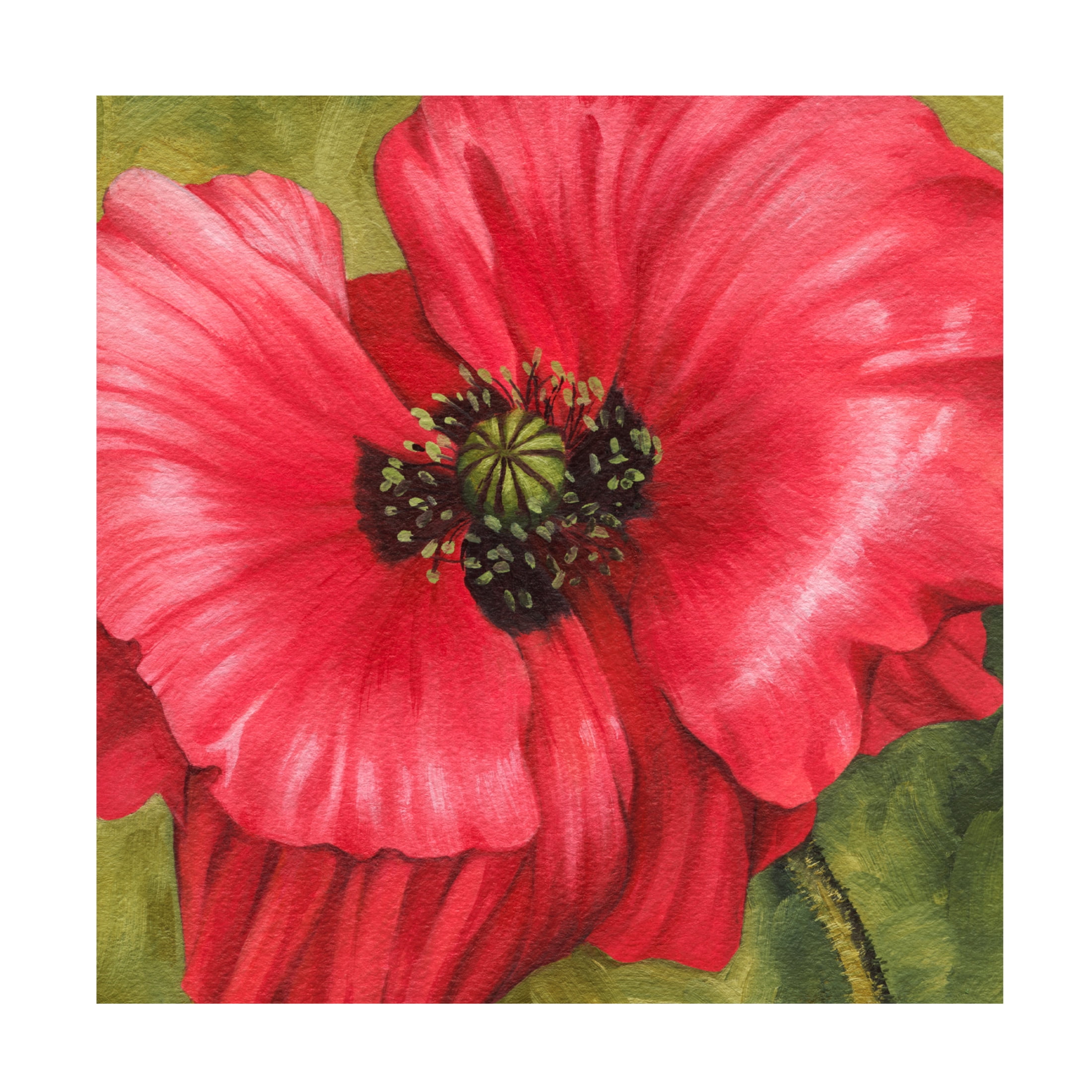 Trademark Fine Art Grace Popp Vivid Poppy II Canvas Wall Art
