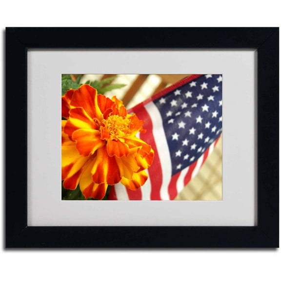 Trademark Fine Art "Grace in Honor" Canvas Art by Monica Fleet, Black Frame