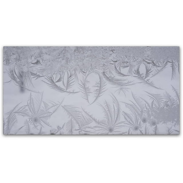 Trademark Fine Art "Graceful Frost Pattern" Canvas Art by Kurt Shaffer