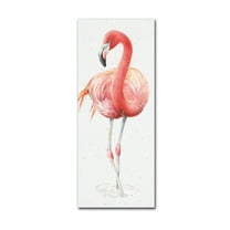 Trademark Fine Art 'Gracefully Pink VI' Canvas Art by Lisa Audit