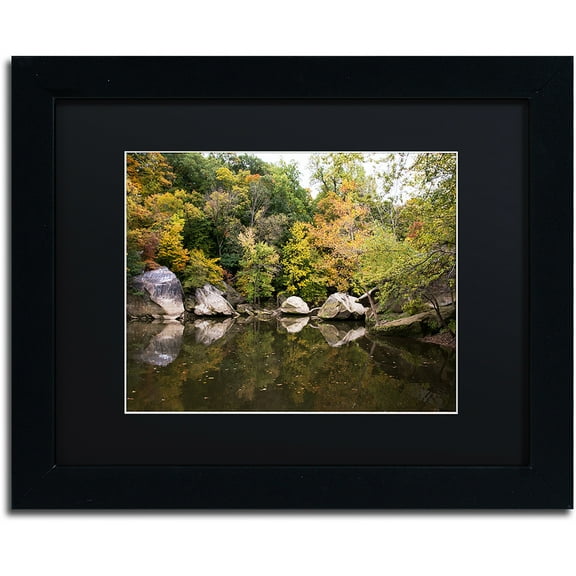 Trademark Fine Art "Graffiti Fall" Canvas Art by Kurt Shaffer, Black Matte, Black Frame