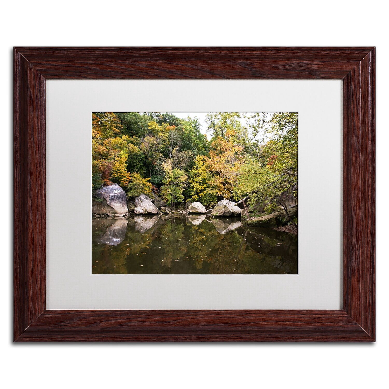 Trademark Fine Art "Graffiti Fall" Canvas Art by Kurt Shaffer, White Matte, Wood Frame