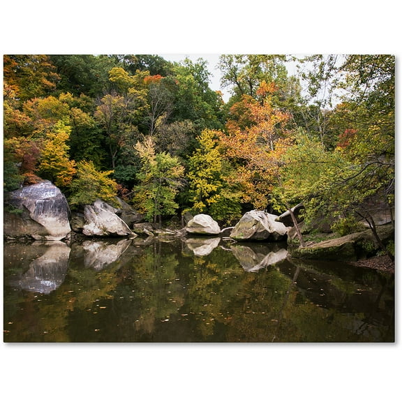 Trademark Fine Art "Graffiti Fall" Canvas Art by Kurt Shaffer