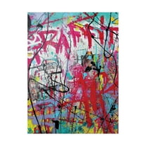 Trademark Fine Art 'Graffiti Graphic' Canvas Art by David Drioton