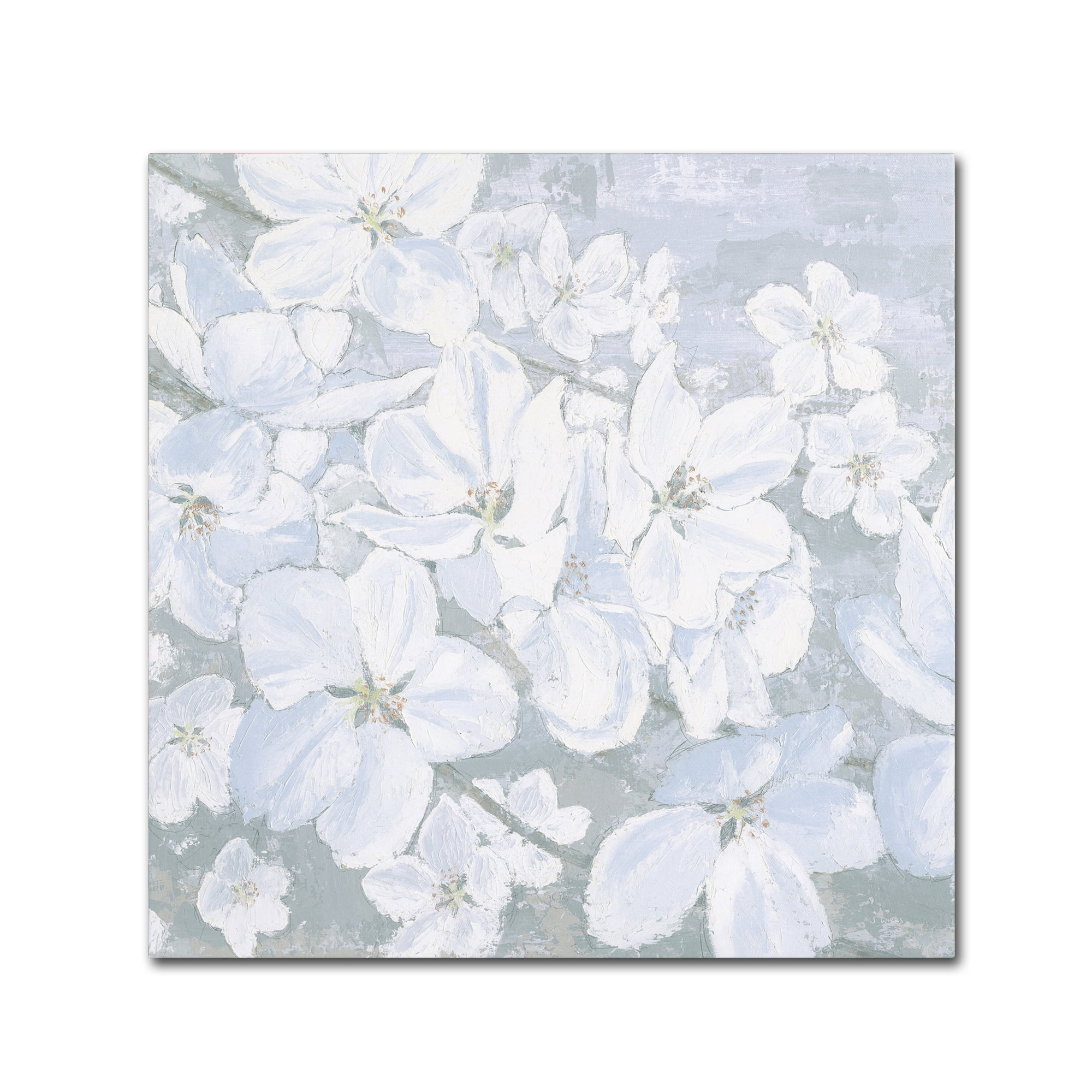 Trademark Fine Art 'Grand Array II Crop' Canvas Art by James Wiens