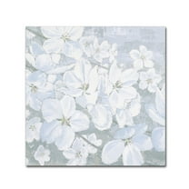 Trademark Fine Art 'Grand Array II Crop' Canvas Art by James Wiens