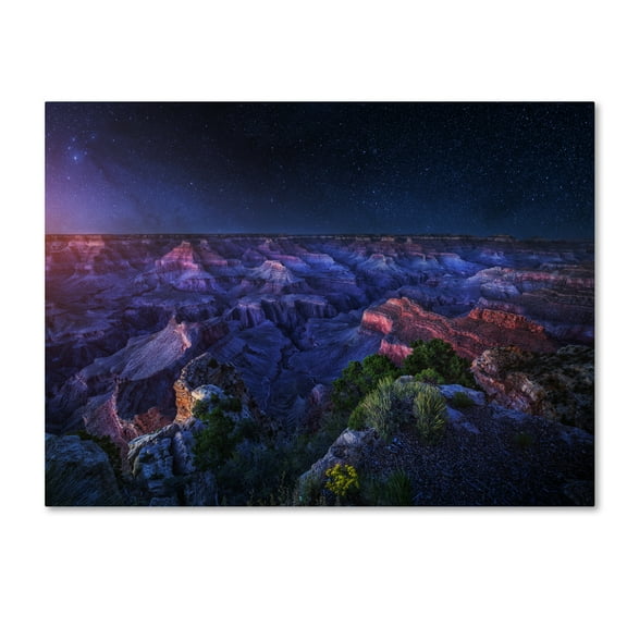 Trademark Fine Art 'Grand Canyon Night' Canvas Art by Juan Pablo De