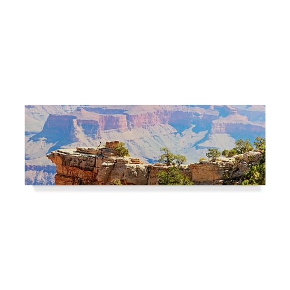 Trademark Fine Art 'Grand Canyon Panorama III' Canvas Art by Sylvia Coomes