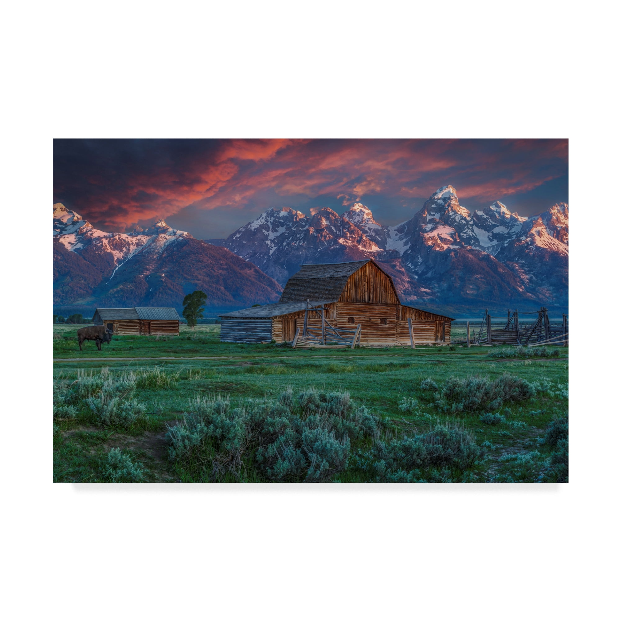 Trademark Fine Art 'Grand Teton Mormon Barn At Sunrise' Canvas Art by Galloimages Online