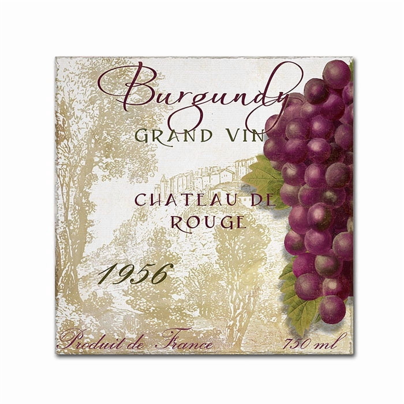 Trademark Fine Art "Grand Vin Burgundy" Canvas Art by Color Bakery