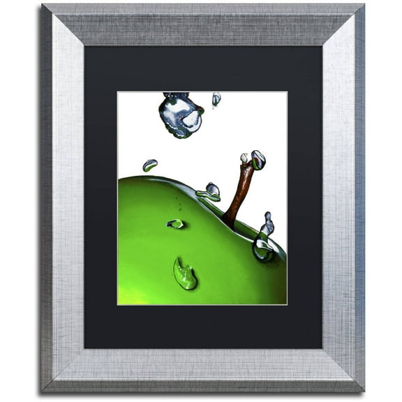 Trademark Fine Art "Granny Splash II" Canvas Art by Roderick Stevens Black Matte, Silver Frame