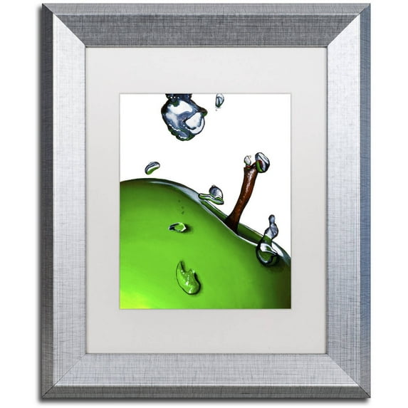 Trademark Fine Art "Granny Splash II" Canvas Art by Roderick Stevens White Matte, Silver Frame
