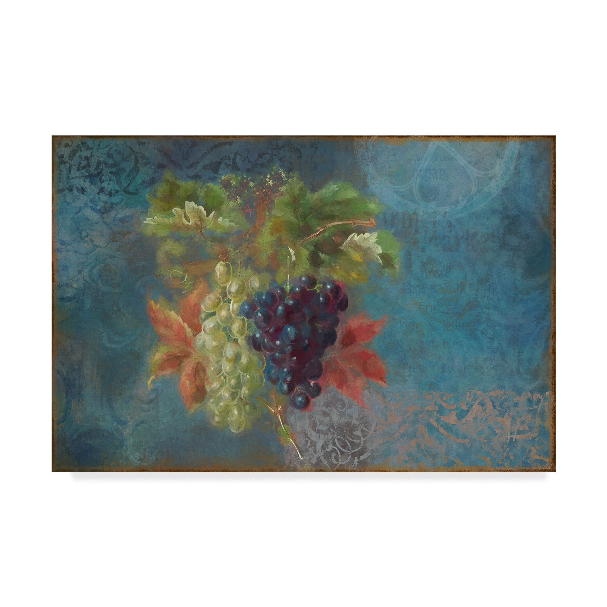 Trademark Fine Art 'Grapes Fruit Series' Canvas Art by Cora Niele