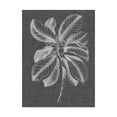 thumbnail image 1 of Trademark Fine Art 'Graphic Foliage II' Canvas Art by Vision Studio, 1 of 4