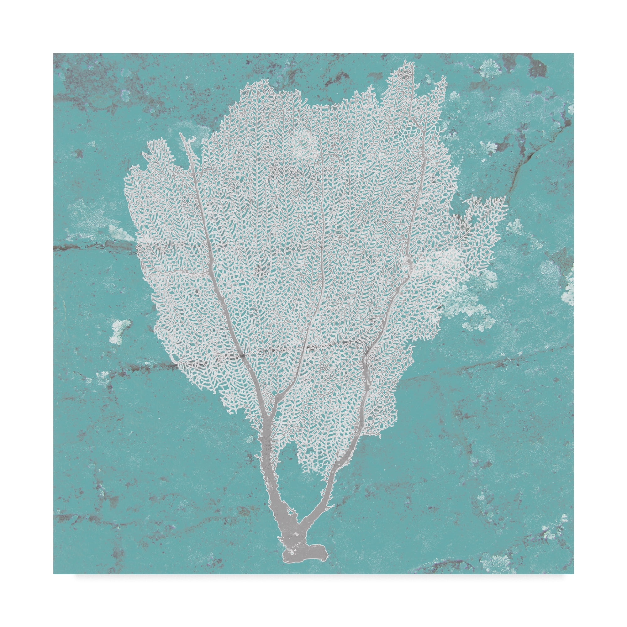 Trademark Fine Art 'Graphic Sea Fan I' Canvas Art by Studio W